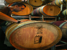 טיול בגליל: יקב דלתון-אדם ליד חבית יין